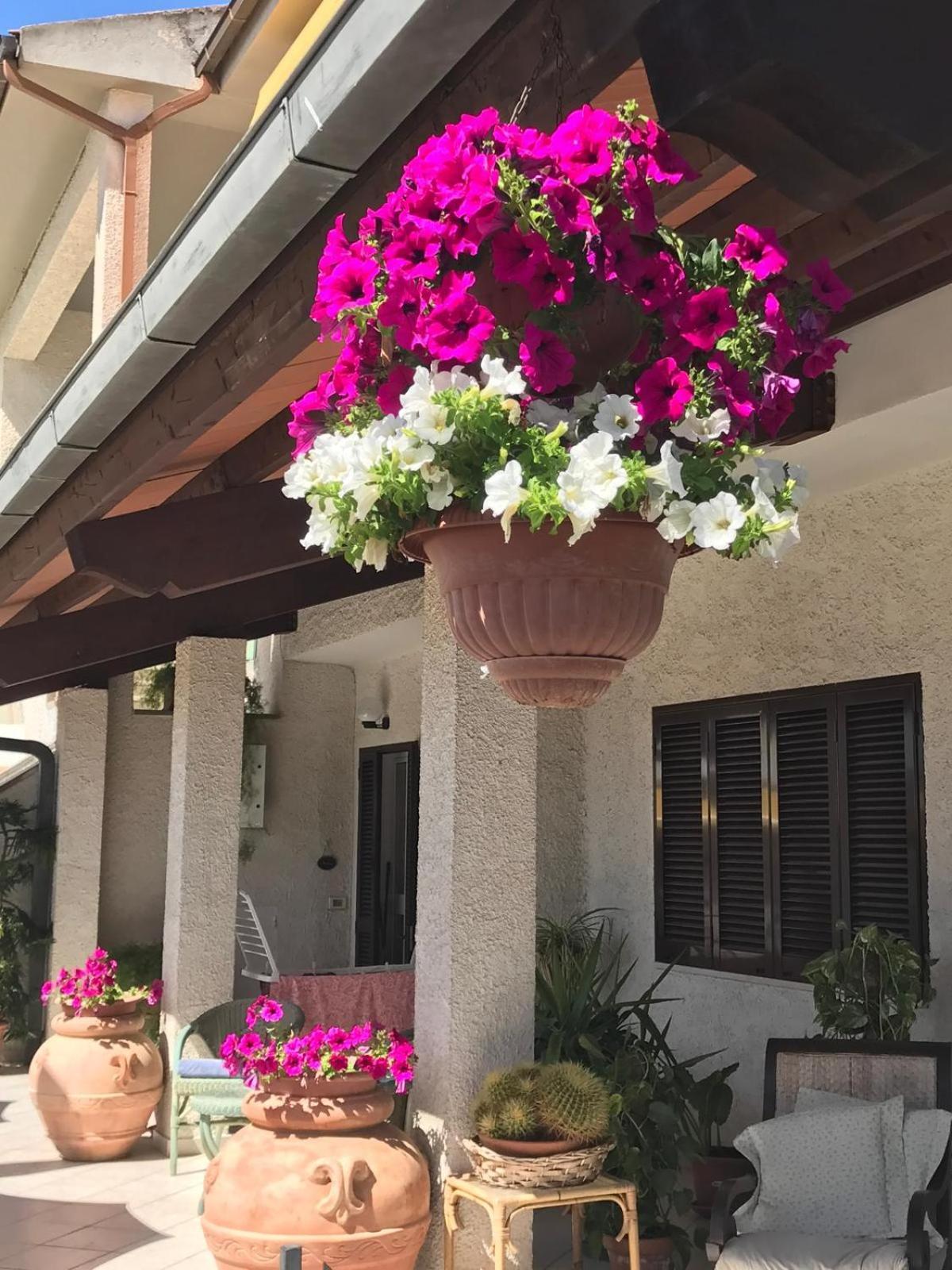 Albergo Rispescia Exterior foto